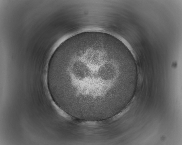 X0000101181245200807111108