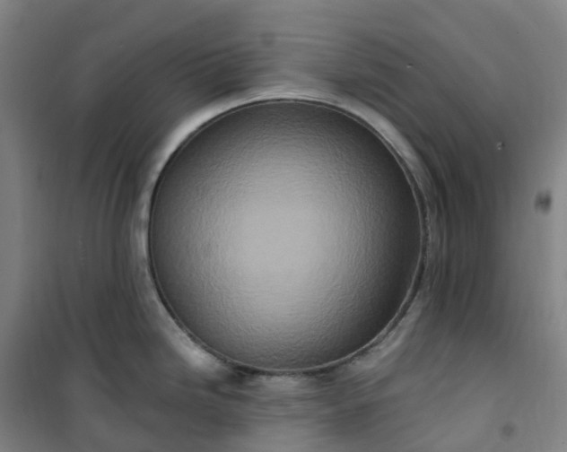 X0000101181246200807111108