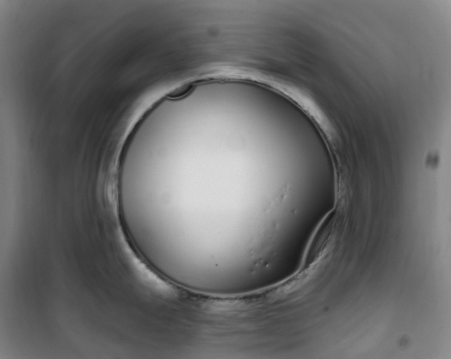 X0000101181247200807111108