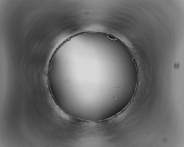 X0000101181248200807111108