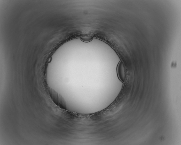 X0000101181249200807111107