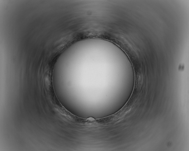 X0000101181250200807111107