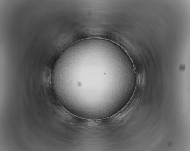 X0000101181251200807111107