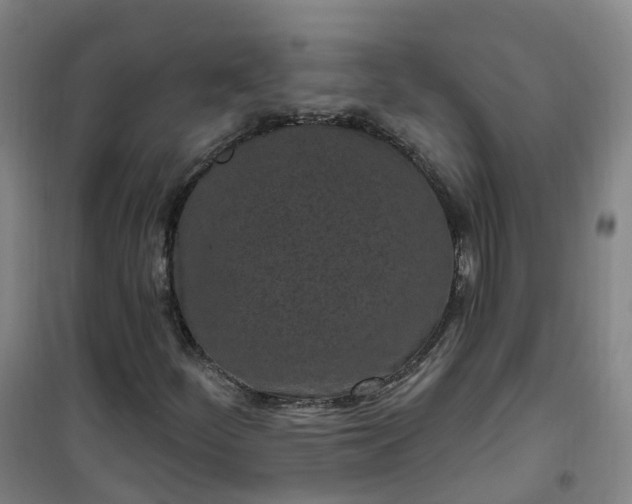 X0000101181252200807111107
