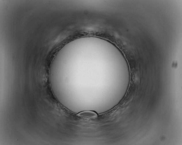 X0000101181253200807111107