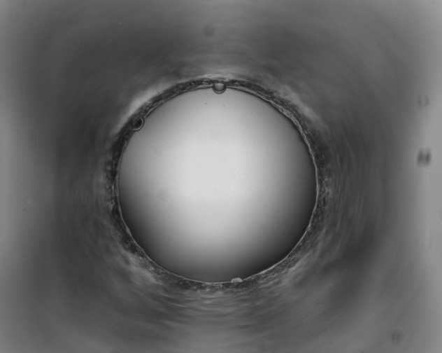 X0000101181256200807111107