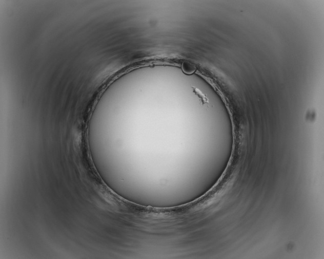 X0000101181257200807111107