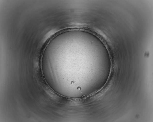 X0000101181259200807111107