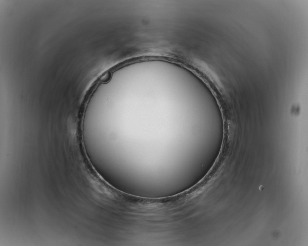 X0000101181260200807111107