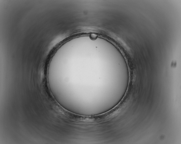 X0000101181261200807111107