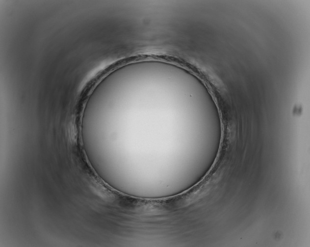 X0000101181262200807111107