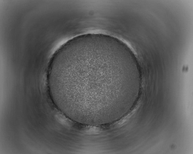 X0000101181263200807111107