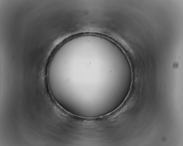 X0000101181264200807111107