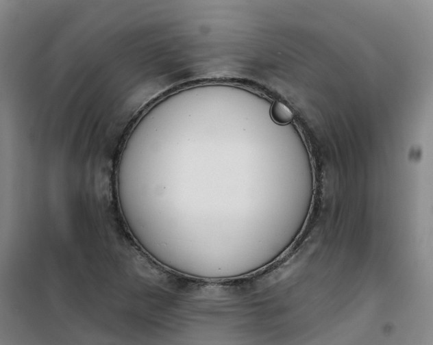 X0000101181265200807111107