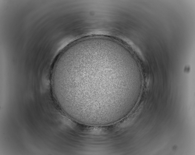 X0000101181266200807111107