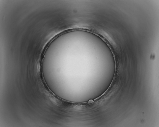 X0000101181268200807111107