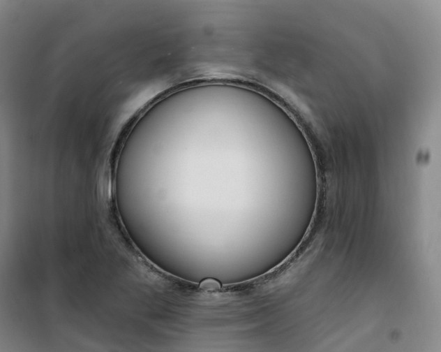 X0000101181269200807111107