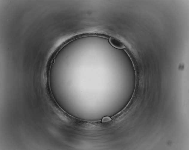 X0000101181270200807111107