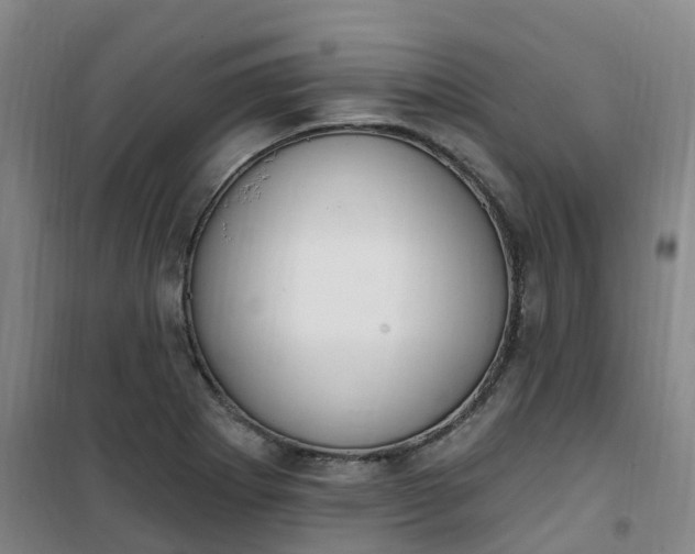 X0000101181273200807111107
