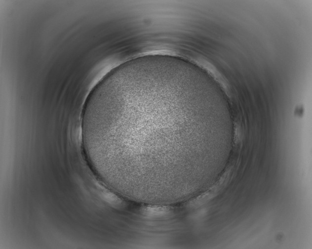 X0000101181274200807111107