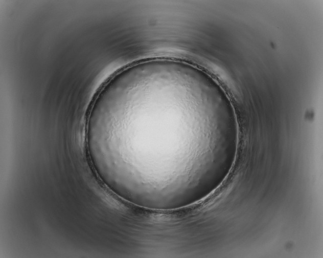 X0000101181275200807111107