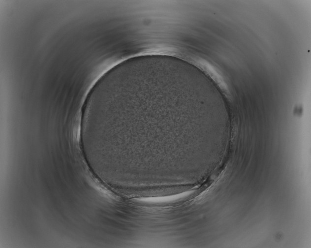X0000101181276200807111107