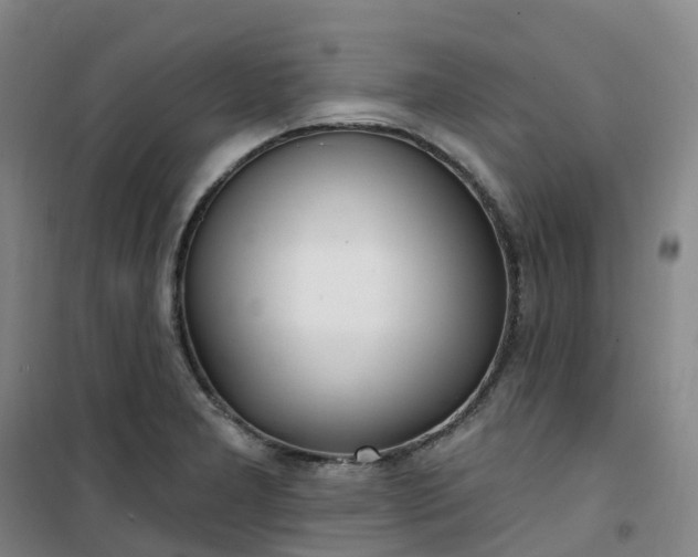 X0000101181277200807111107