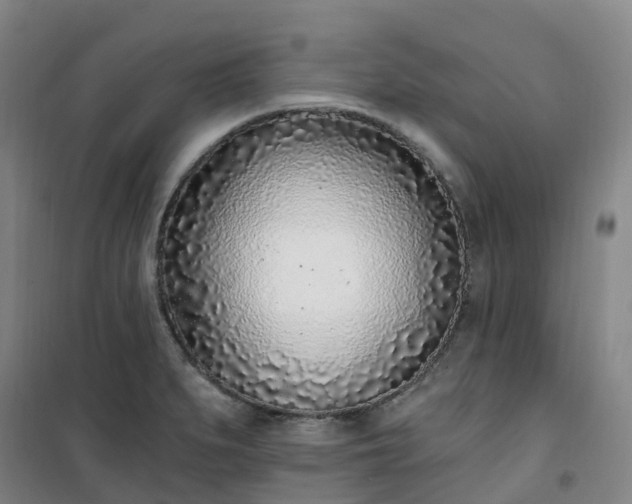 X0000101181279200807111107