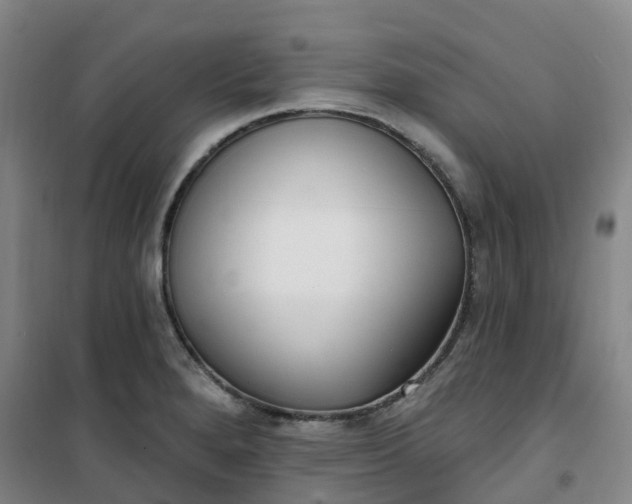 X0000101181280200807111107