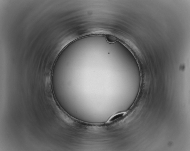 X0000101181281200807111107