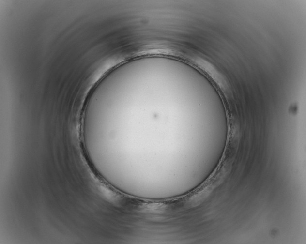 X0000101181282200807111107