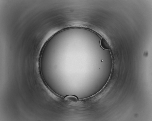 X0000101181285200807111107