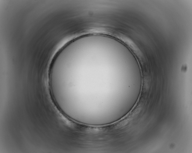 X0000101181286200807111107