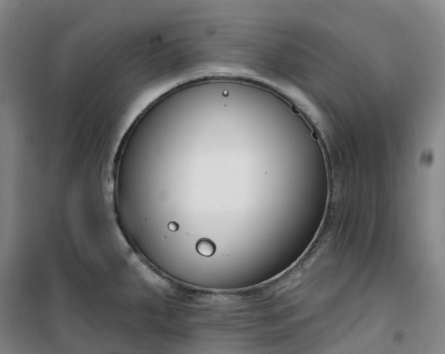 X0000101181287200807111107