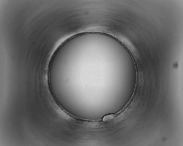 X0000101181288200807111107