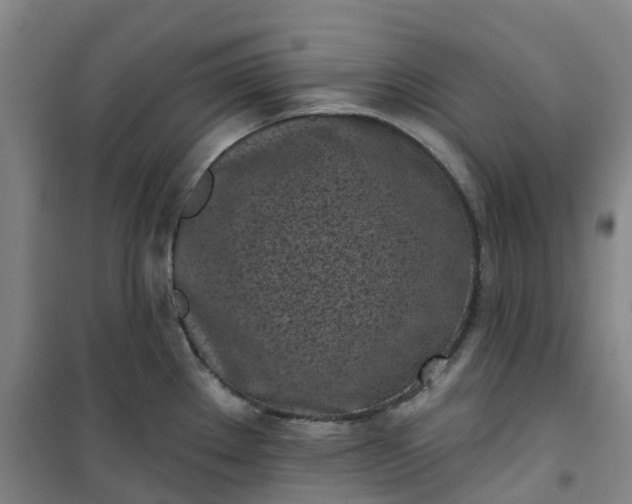 X0000101181289200807111107