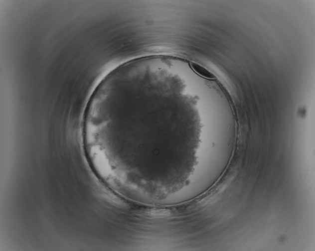 X0000101181291200807111106