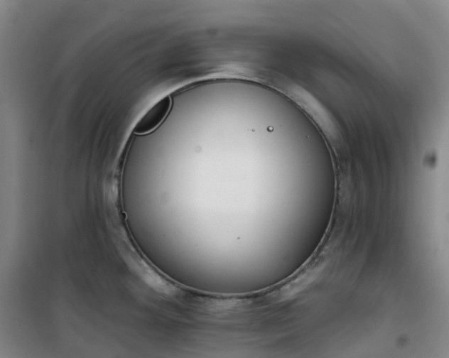 X0000101181292200807111106