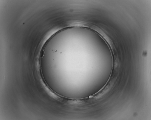 X0000101181293200807111106