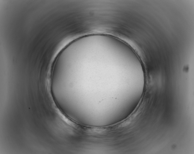 X0000101181294200807111106