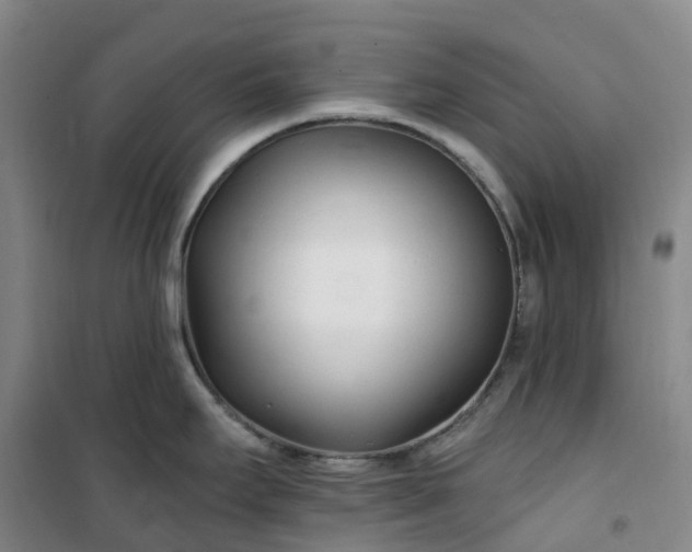 X0000101181295200807111106