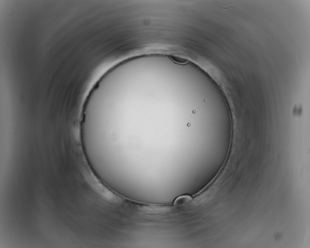 X0000101181296200807111106