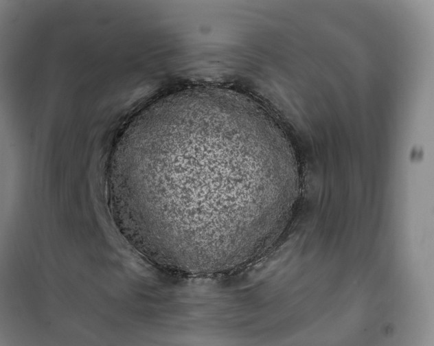 X0000101181297200807111106