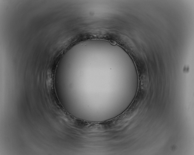 X0000101181298200807111106