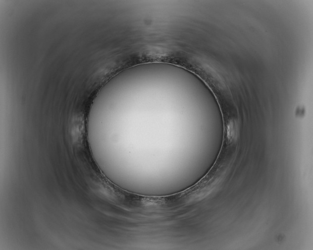 X0000101181299200807111106