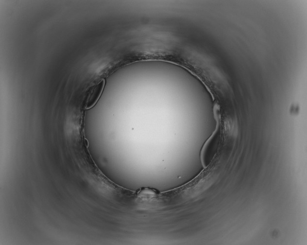X0000101181300200807111106