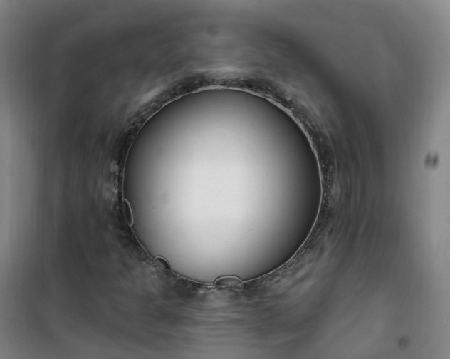 X0000101181301200807111106