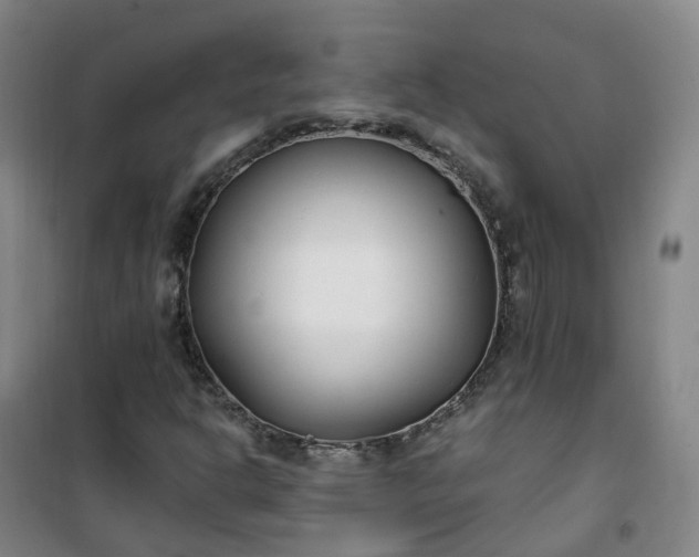 X0000101181302200807111106