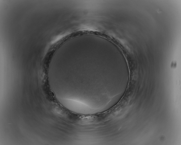 X0000101181303200807111106