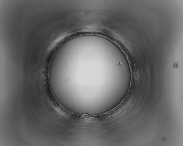 X0000101181304200807111106